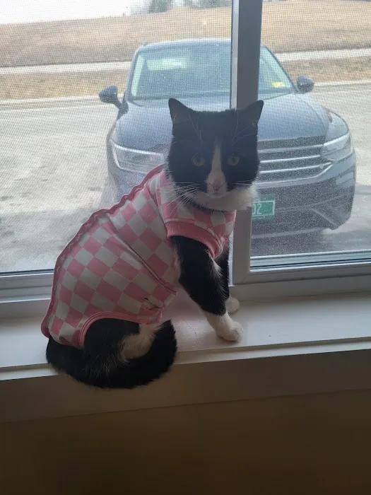 Montpelier Veterinary Hospital 5
