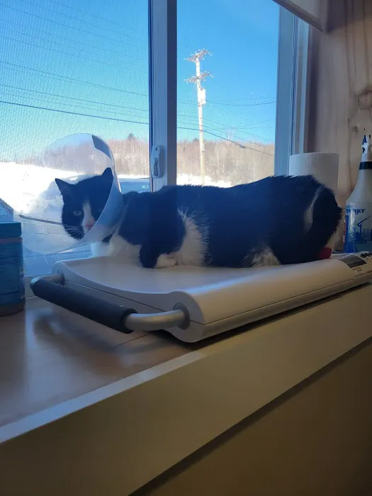 Montpelier Veterinary Hospital 4
