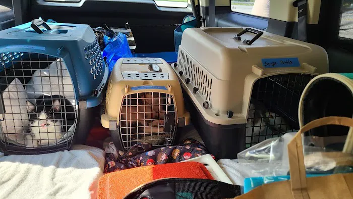 Vermont Companion Animal Ntrng 1