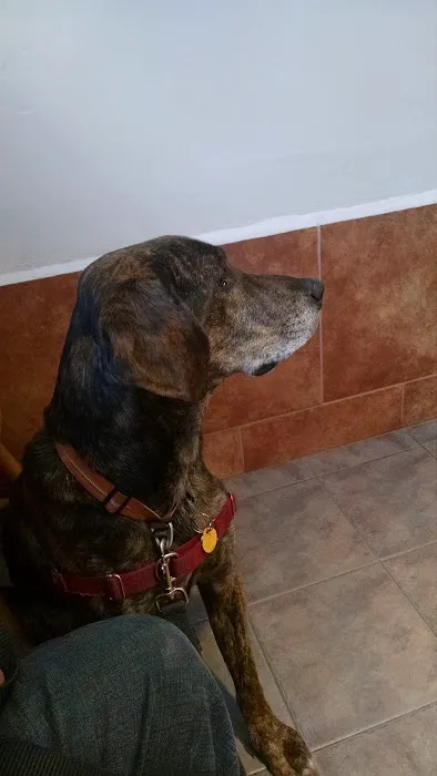 Bear Swamp Veterinary Services 2