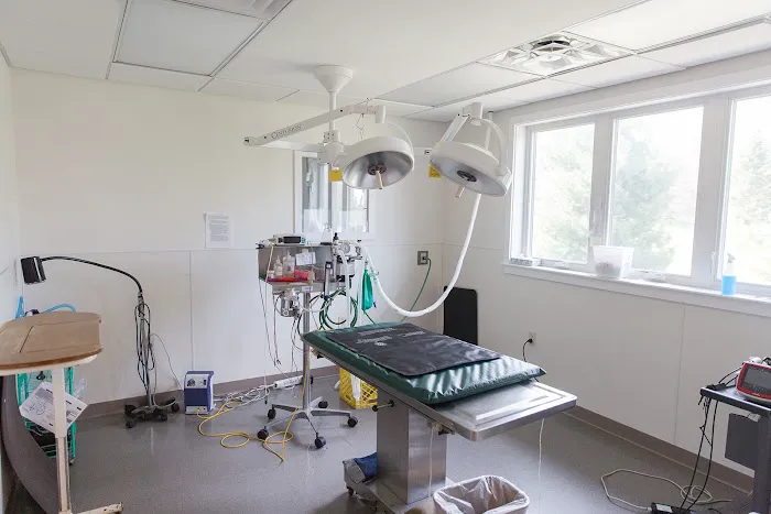 Bristol Animal Hospital 2