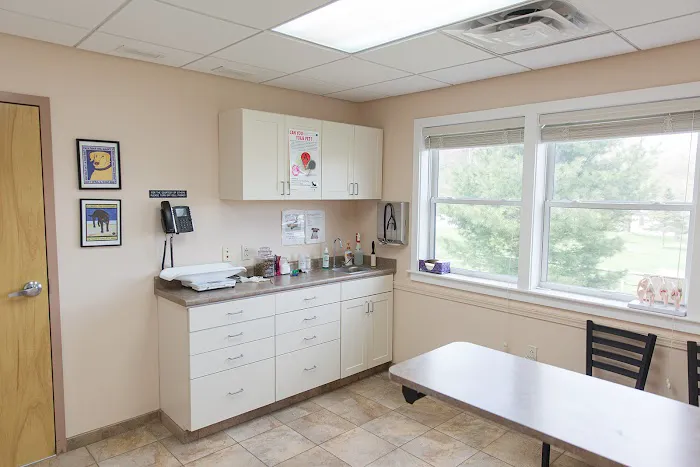 Bristol Animal Hospital 7