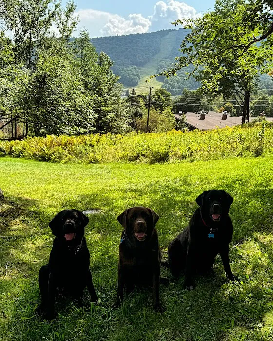 Mad River Veterinary Service 4