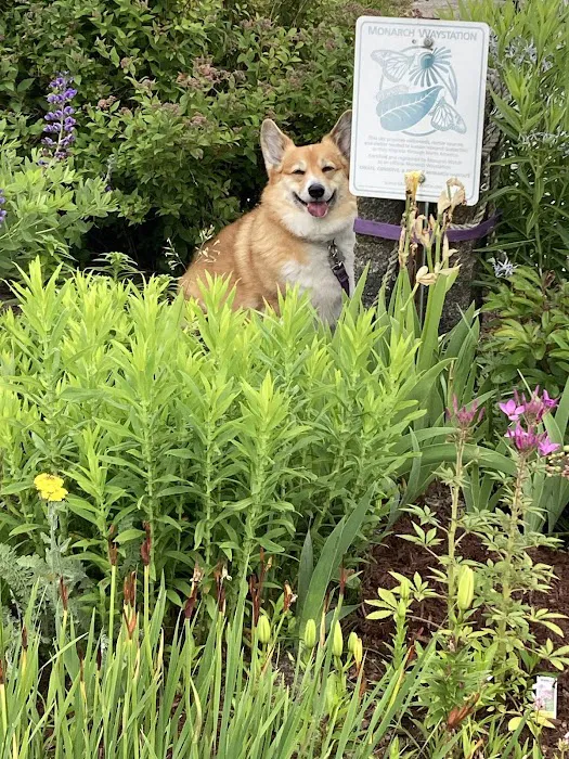 North Hampton Animal Hospital 2
