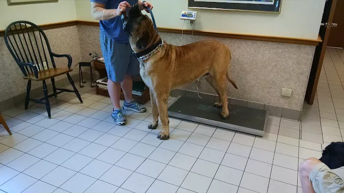 North Hampton Animal Hospital 3
