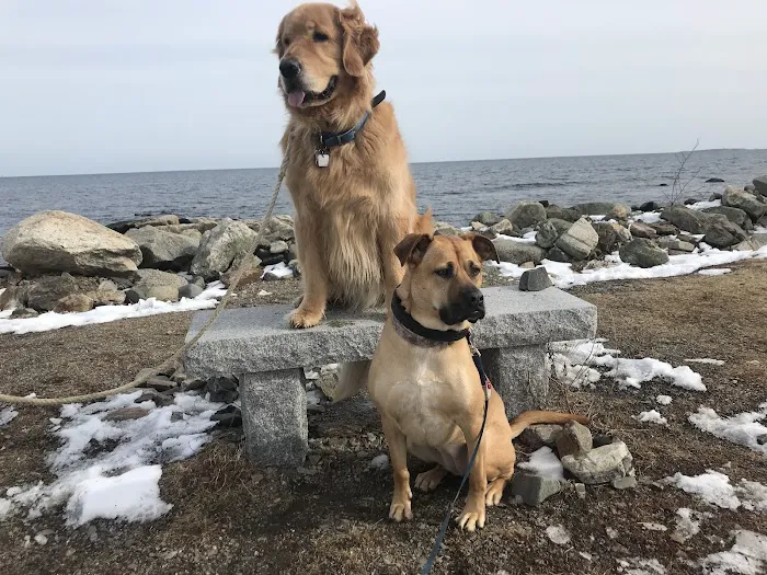 North Hampton Animal Hospital 7