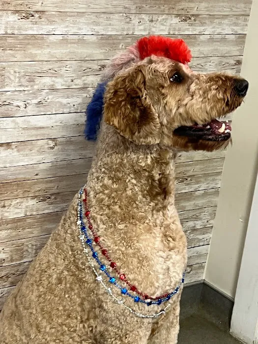Hampton Veterinary Hospital 6