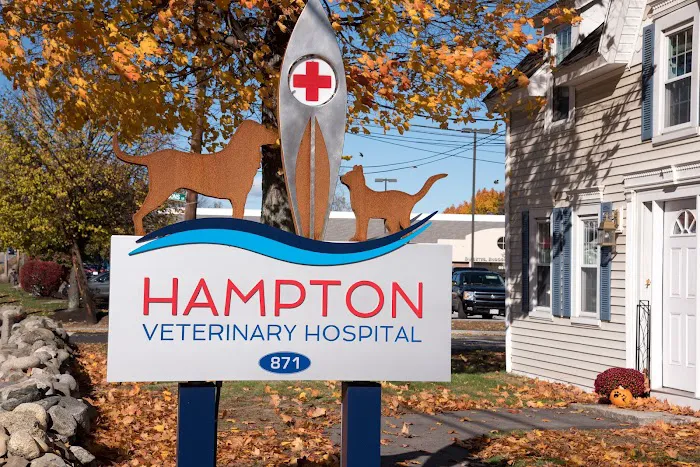 Hampton Veterinary Hospital 7