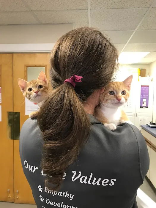 Hampton Veterinary Hospital 2