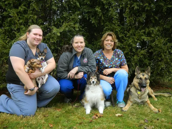 Health & Wellness Animal Hospital 5