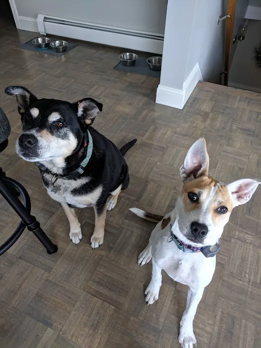 Health & Wellness Animal Hospital 3