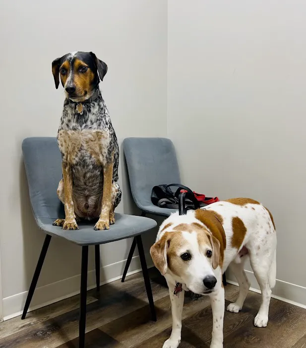 Lafayette Animal Hospital 1
