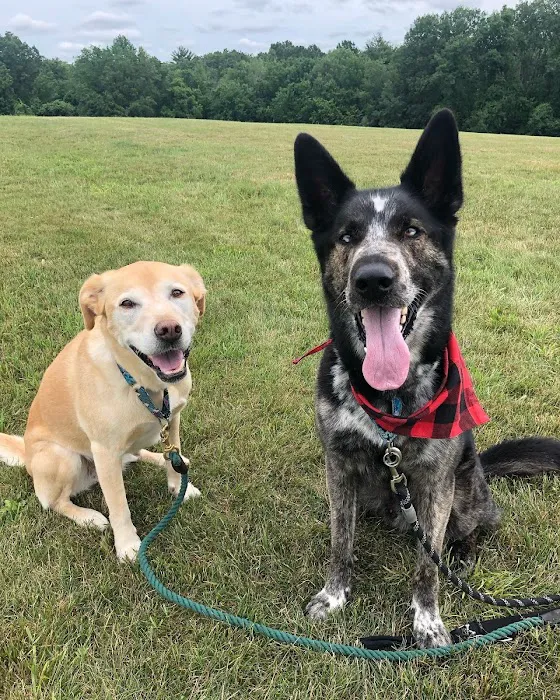 Lafayette Animal Hospital 10