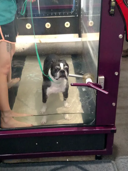 Tails of Rye Canine Rehabilitation 3