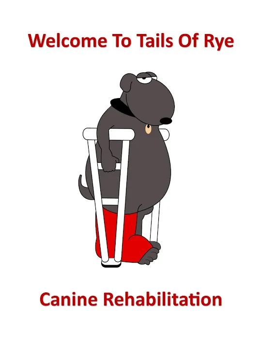 Tails of Rye Canine Rehabilitation 4