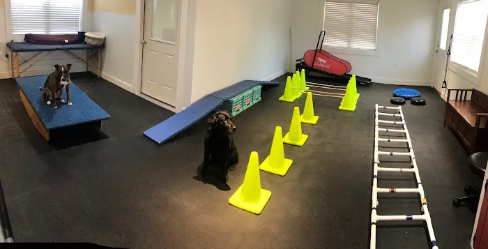 Tails of Rye Canine Rehabilitation 8