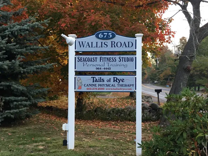 Tails of Rye Canine Rehabilitation 6