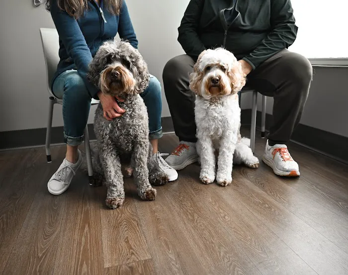 PetMedic Urgent Care Vet Clinic - Portsmouth 2