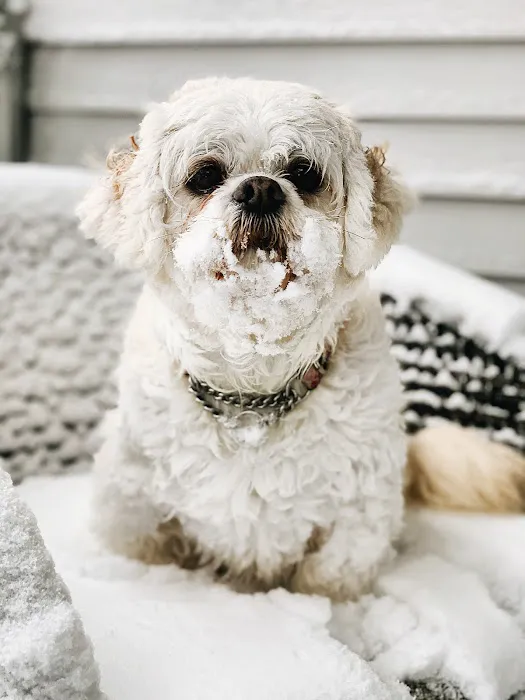 Beverly Animal Hospital 1