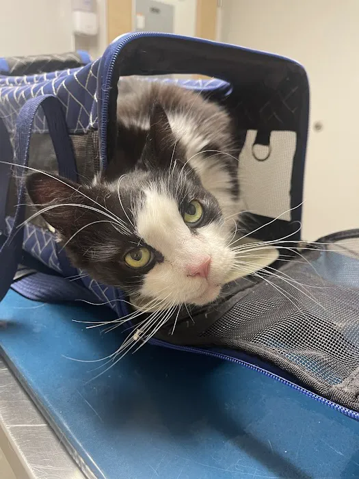 Beverly Animal Hospital 2