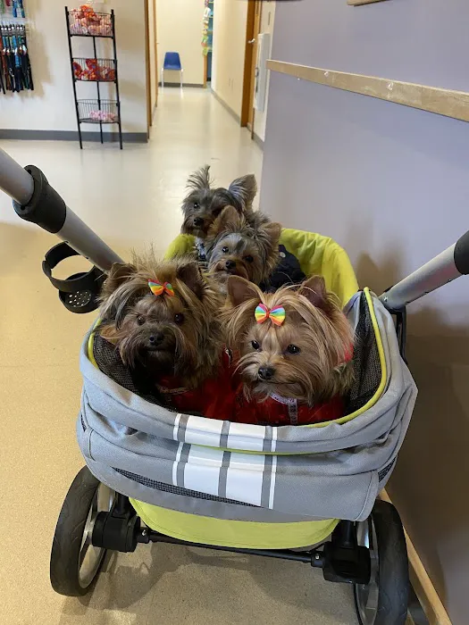 Beverly Animal Hospital 8