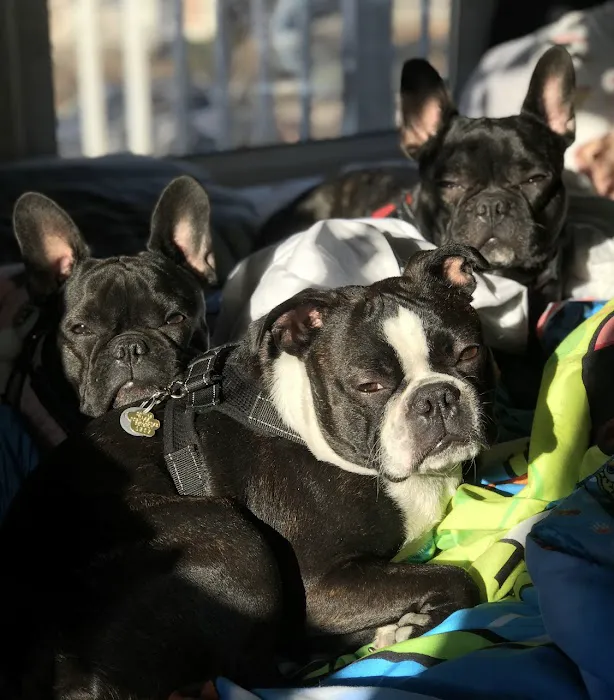 Beverly Animal Hospital 6