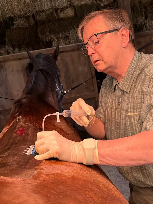 Kaneps Equine Sports Medicine and Surgery 3