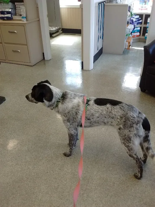 Hamilton Wenham Veterinary Hospital 1