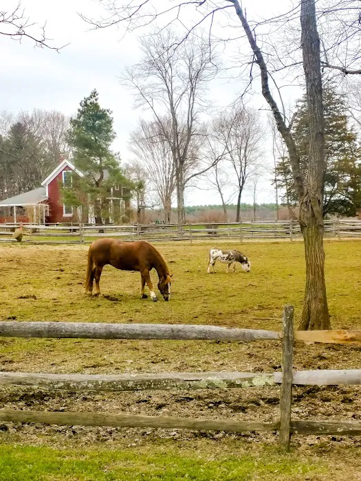 Parrott Equine Associates 2