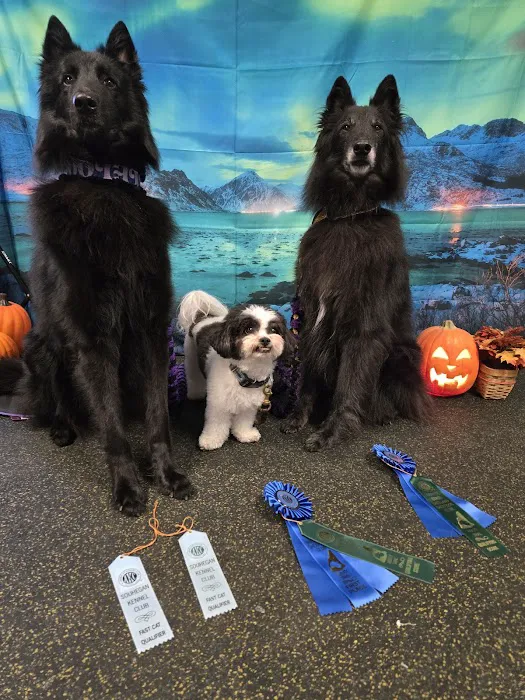 Rowley Animal Hospital 2