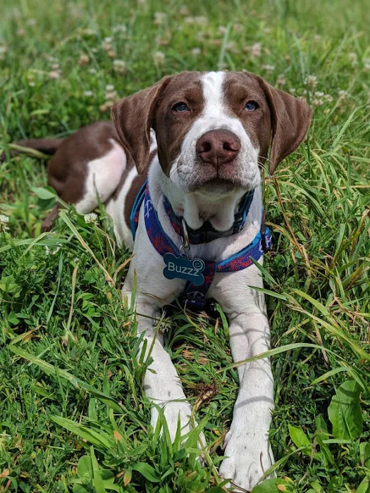 Rowley Animal Hospital 5