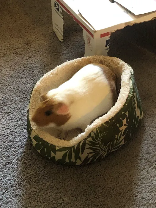 Rowley Animal Hospital 3