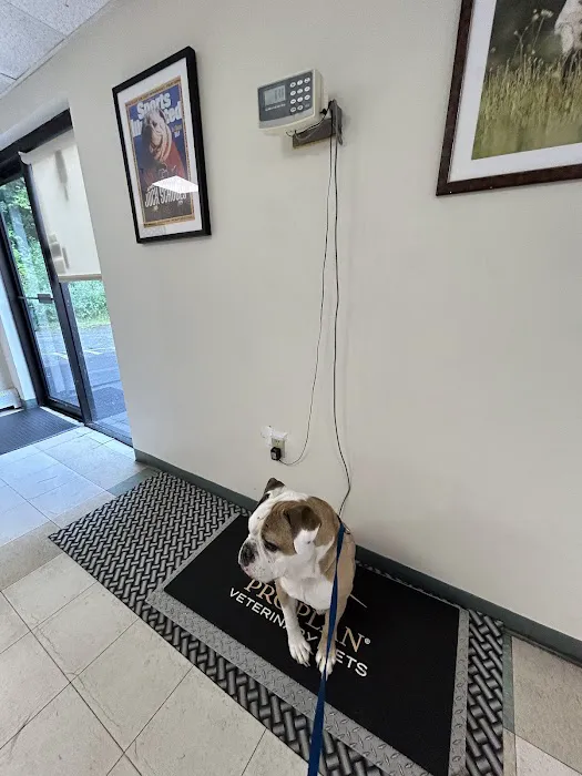 Ipswich Animal Hospital 5