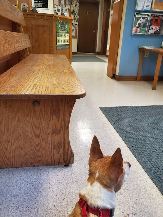 SRH Veterinary Services 8