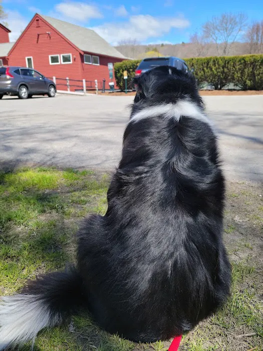 SRH Veterinary Services 6