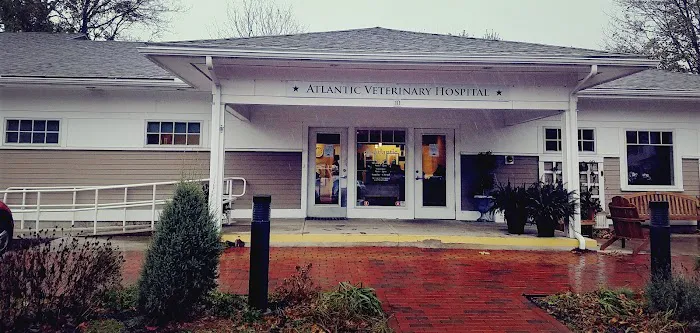 Atlantic Veterinary Hospital 3