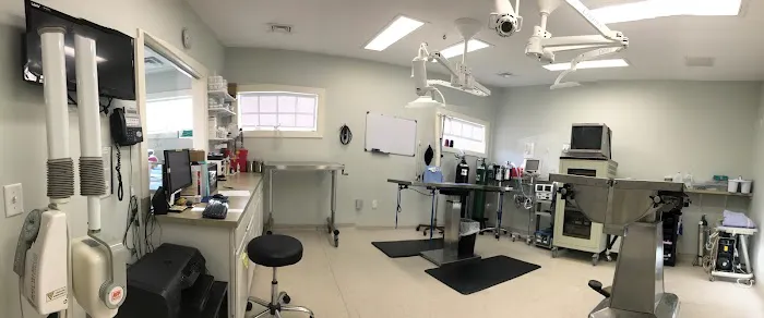 Atlantic Veterinary Hospital 9