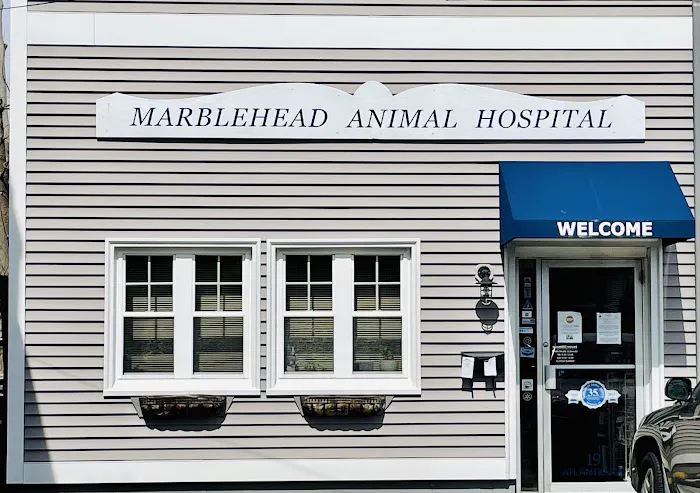 Marblehead Animal Hospital 5