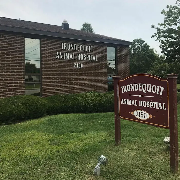 Irondequoit Animal Hospital 10
