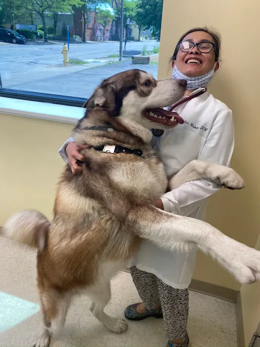 Midtown Veterinary Hospital 2