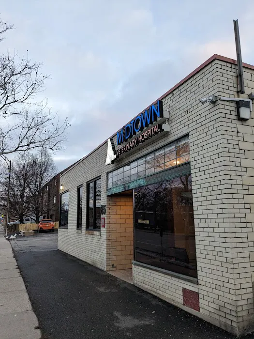 Midtown Veterinary Hospital 4
