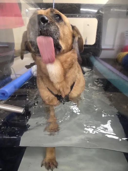 ROC Pet Rehab 2