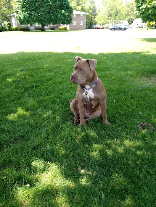 Banfield Pet Hospital 1