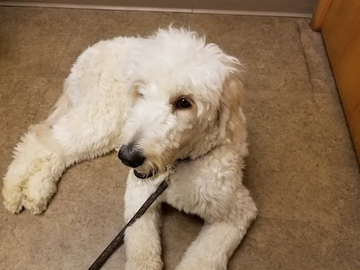 Banfield Pet Hospital 7