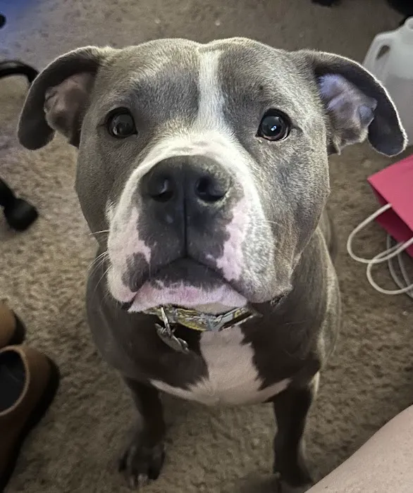 Banfield Pet Hospital 9