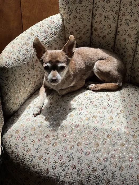 South Towne Veterinary Hospital 8