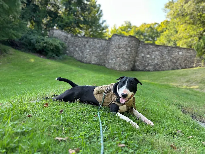 Companion Animal Hospital 6