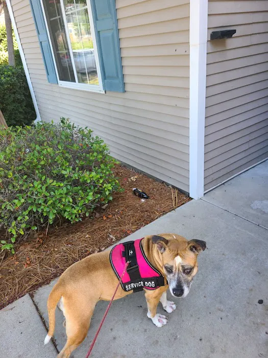 Meadowlawn Animal Services at Myrtle Beach 3