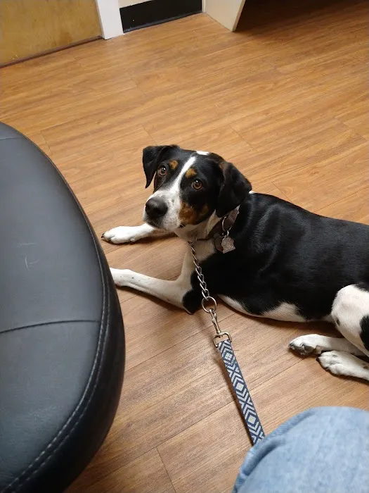 Meadowlawn Animal Services at Myrtle Beach 5