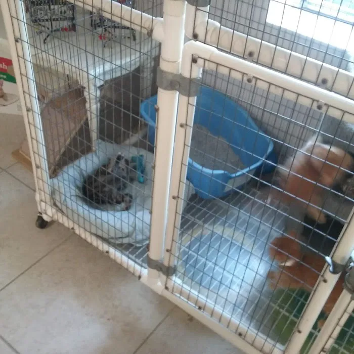 Cat's Meow Veterinary Hospital 10
